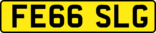 FE66SLG