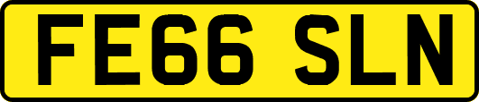 FE66SLN