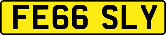 FE66SLY