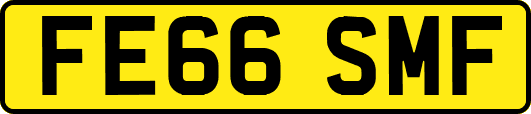 FE66SMF