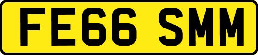 FE66SMM