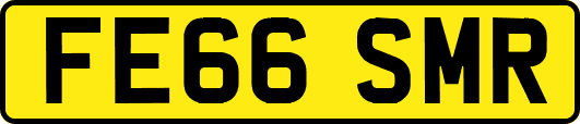 FE66SMR