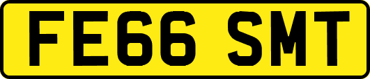 FE66SMT