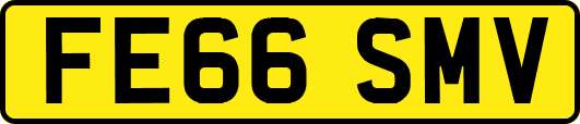 FE66SMV