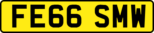 FE66SMW