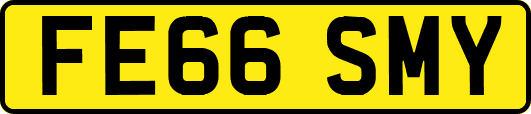 FE66SMY