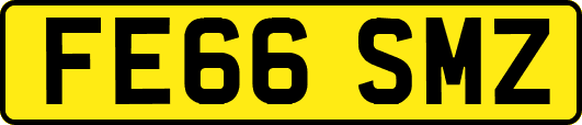 FE66SMZ