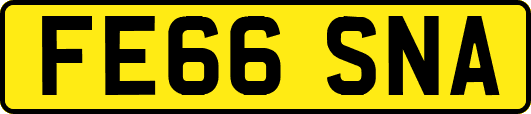 FE66SNA