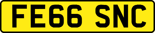 FE66SNC