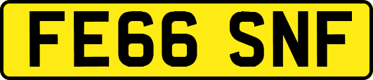 FE66SNF