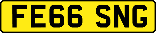 FE66SNG