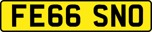 FE66SNO
