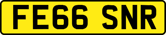FE66SNR