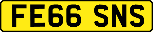 FE66SNS