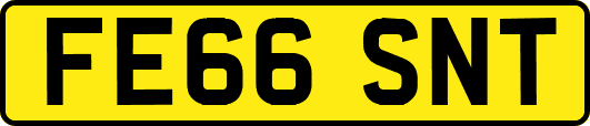 FE66SNT