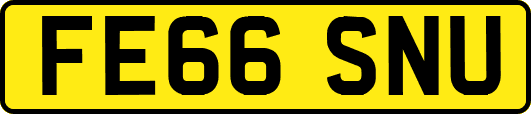 FE66SNU