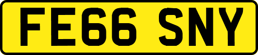 FE66SNY