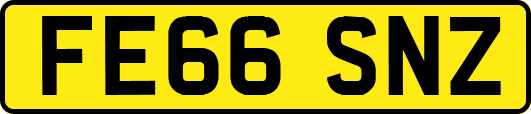 FE66SNZ