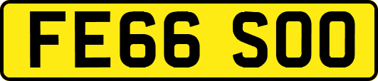 FE66SOO
