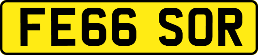 FE66SOR