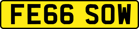 FE66SOW