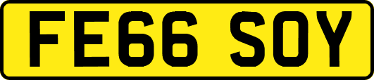 FE66SOY