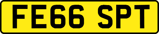 FE66SPT