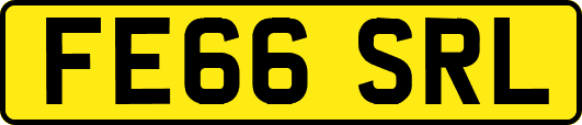 FE66SRL