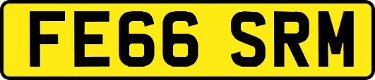 FE66SRM