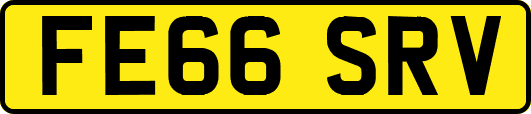 FE66SRV