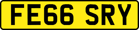 FE66SRY