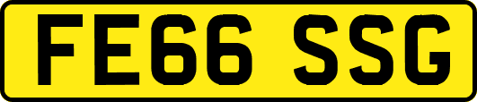 FE66SSG