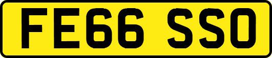 FE66SSO
