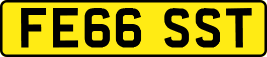 FE66SST