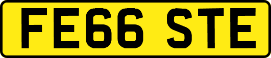 FE66STE