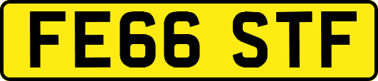FE66STF
