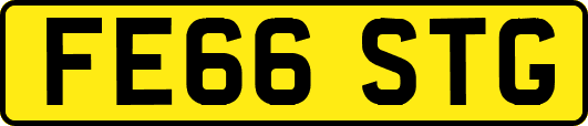 FE66STG