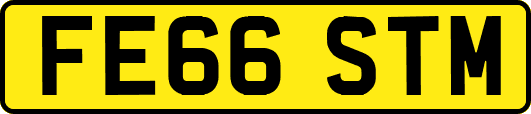 FE66STM