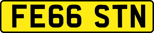 FE66STN