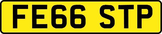 FE66STP