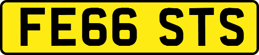 FE66STS