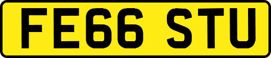 FE66STU