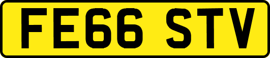 FE66STV