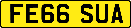 FE66SUA