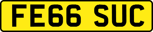 FE66SUC