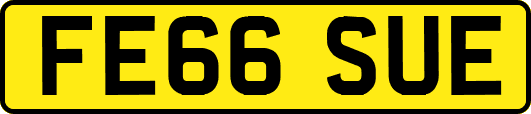FE66SUE