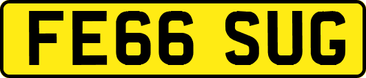 FE66SUG