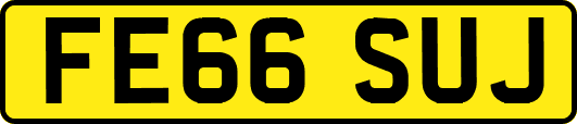 FE66SUJ
