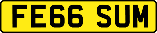 FE66SUM