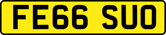 FE66SUO